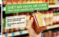 Nhiều địa phương lên kế hoạch ráo riết dự trữ thịt heo cho dịp tết