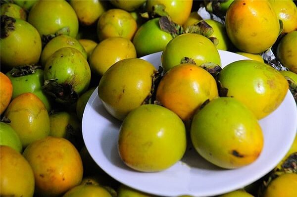 Hinh-dang-ben-ngoai-trai-hong-ta-thuong-khong-duoc-bat-mat