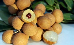Hướng dẫn nhận diện nhãn Lồng Hưng Yên