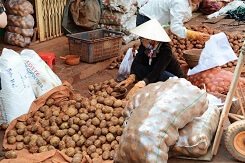 Nông sản Trung Quốc sống dựa thương hiệu Việt
