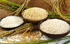 Gạo cũng có chứng minh thư