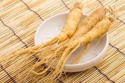 Hành trình tìm kiếm nhân sâm thật cực gian nan 