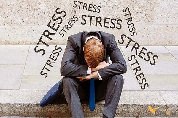 Mất nhiều khách hàng lớn vì không thể chứng thực sản phẩm 