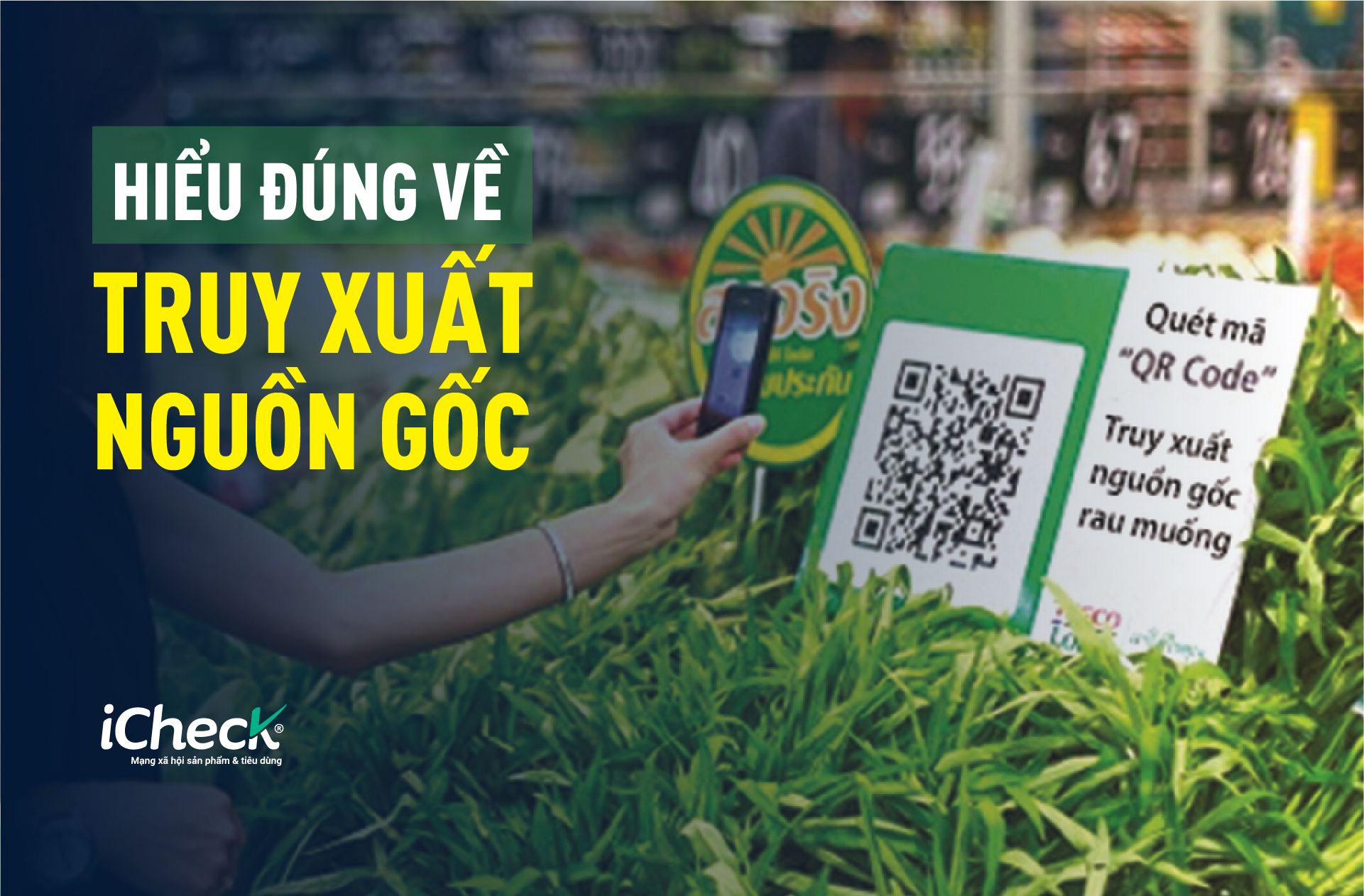 HIEU DUNG HIEU DU VE TRUY XUAT NGUON GOC CHO SAN PHAM OCOP HIEU DUNG HIEU DU VE TRUY XUAT NGUON GOC CHO SAN PHAM OCOP