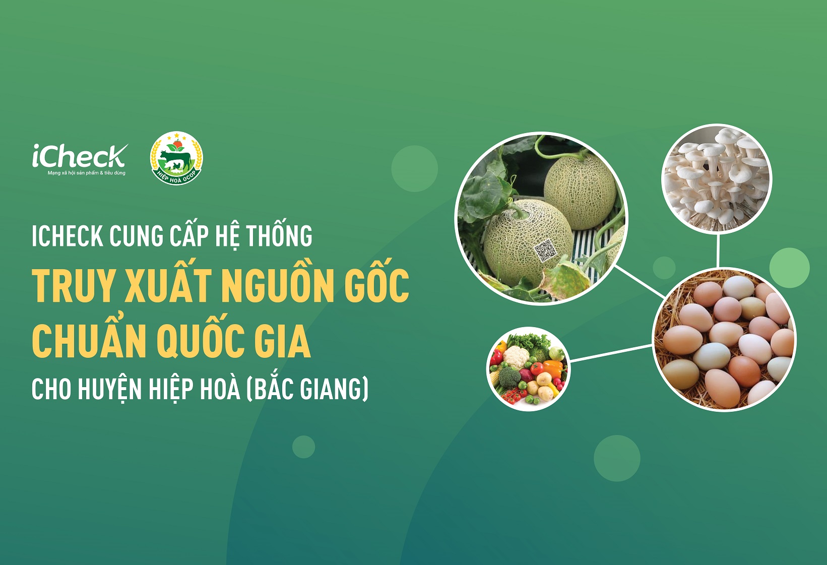 iCheck cung cấp Hệ thống Truy Xuất Nguồn Gốc chuẩn quốc gia cho huyện Hiệp Hoà (Bắc Giang)