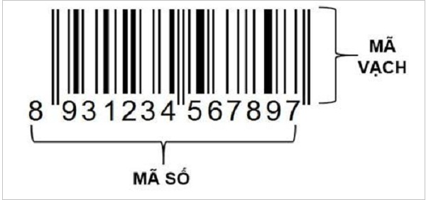 Hướng dẫn áp dụng mã vạch GS1 trong 10 bước đơn giản