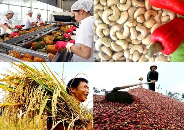 Thu hồi thực phẩm nông lâm sản