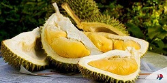 Sầu riêng tắm hóa chất gây vô sinh