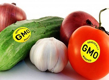 Thực phẩm biến đổi gen có nguồn gốc ra sao?